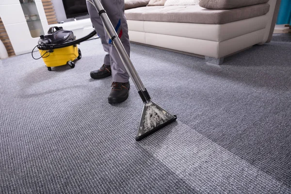Professional Carpet Cleaning in Agoura Hills